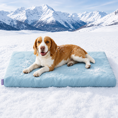 PAWTHERAPY™ ChillPad