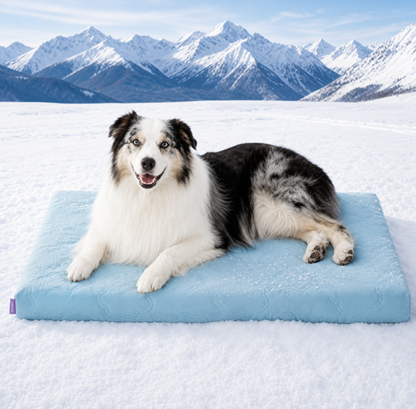 PAWTHERAPY™ ChillPad