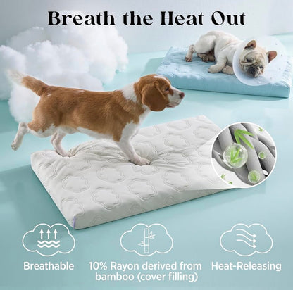 PAWTHERAPY™ ChillPad