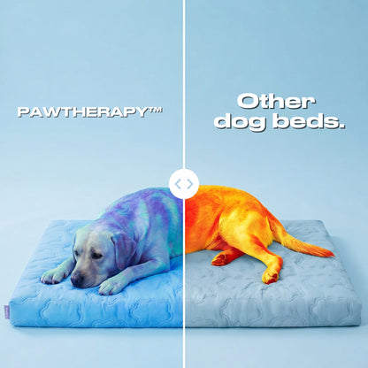 PAWTHERAPY™ ChillPad